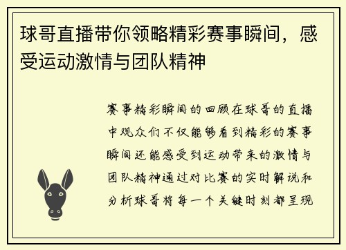 球哥直播带你领略精彩赛事瞬间，感受运动激情与团队精神